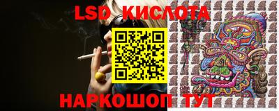 стаф Жуковский