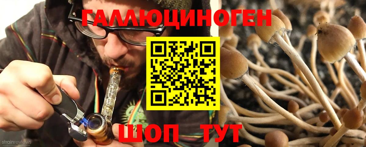 Луховицы  Галлюциногенные грибы мицелий  Вход с VPN 
